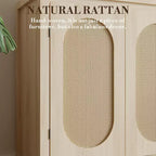 Credenza a 2 ante in Rattan Bianco — Stile Moderno, Utente Singolo
